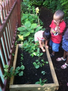 Children in Lottie's child care program learn about gardening and nutrition through the Garden Project.